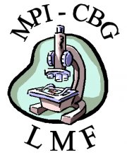 LMF_logo.jpg